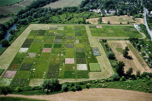 Aerial view of The Jena Experiment
